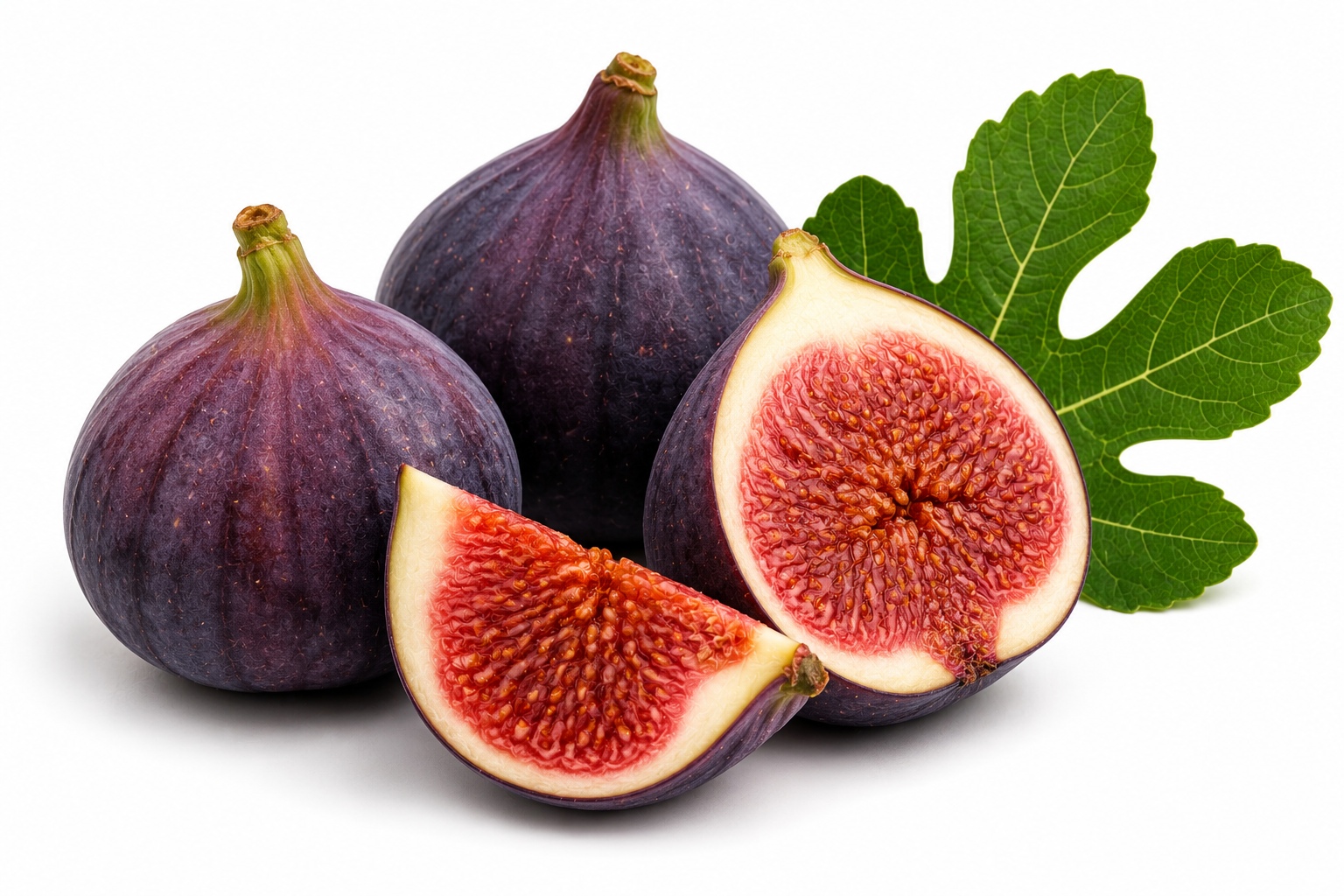 Fig